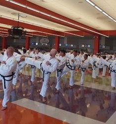 I Shall Never Misuse Tae Kwon-do